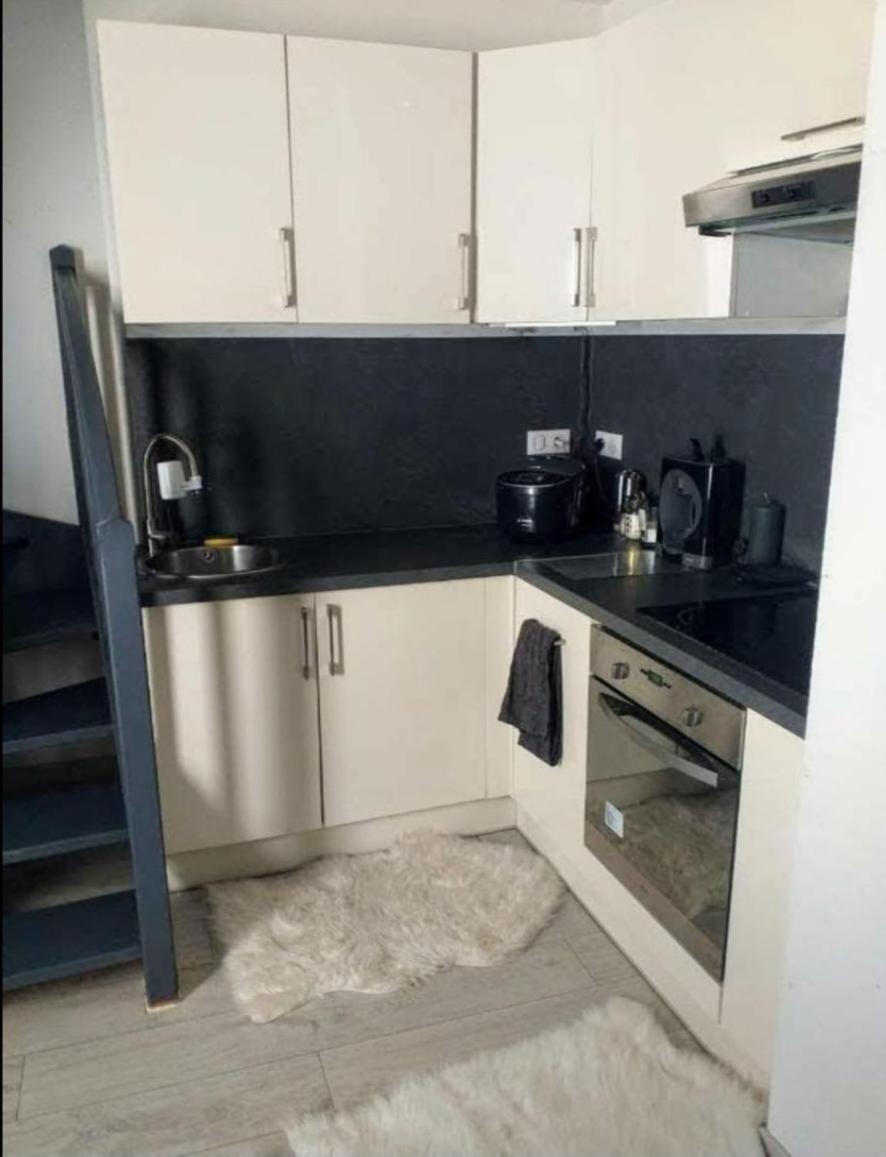 Appartement Attique 斯特拉斯堡 外观 照片
