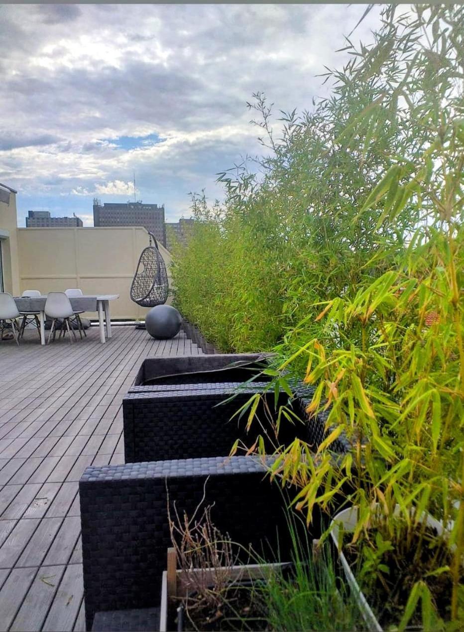 Appartement Attique 斯特拉斯堡 外观 照片
