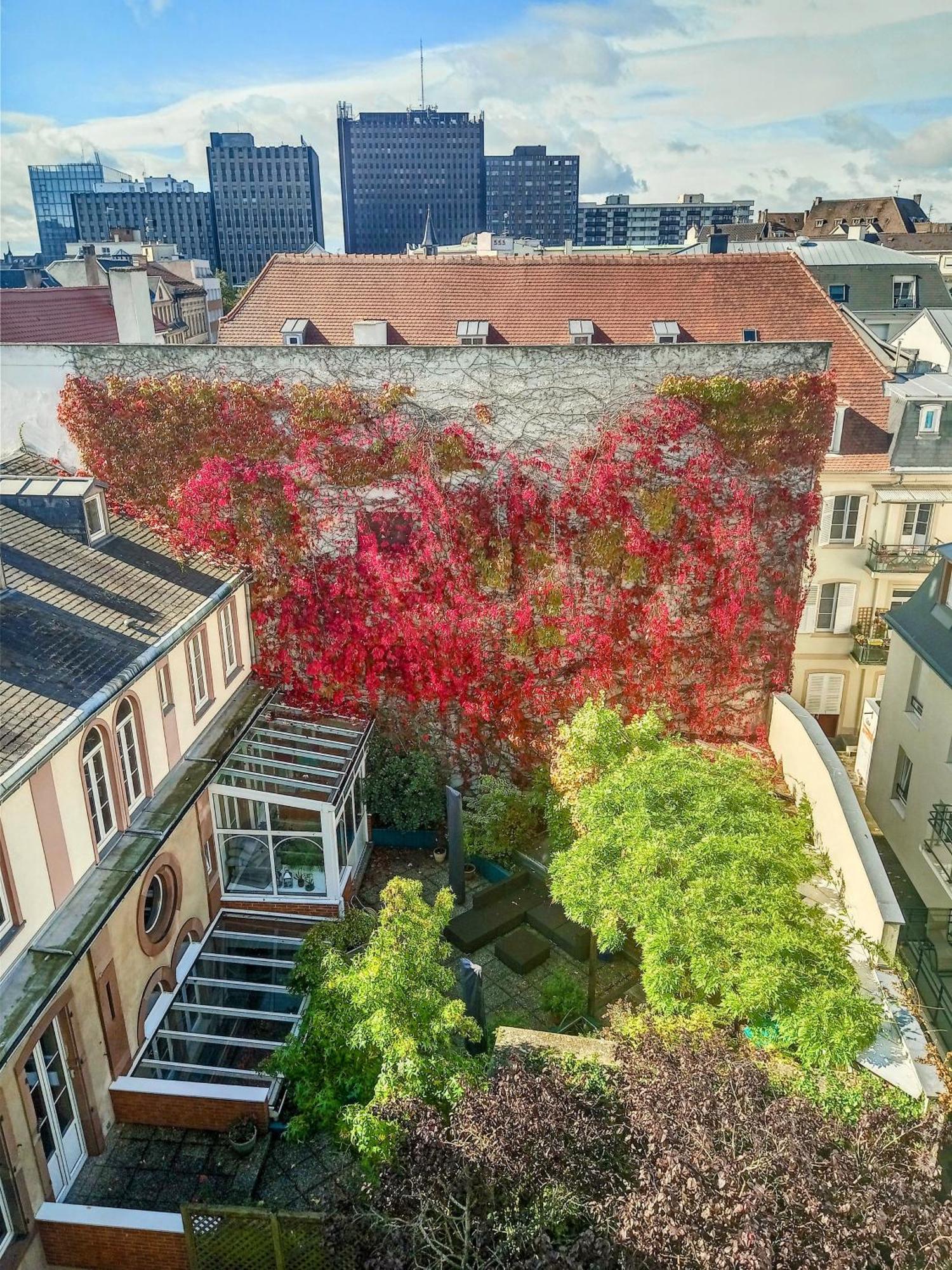 Appartement Attique 斯特拉斯堡 外观 照片