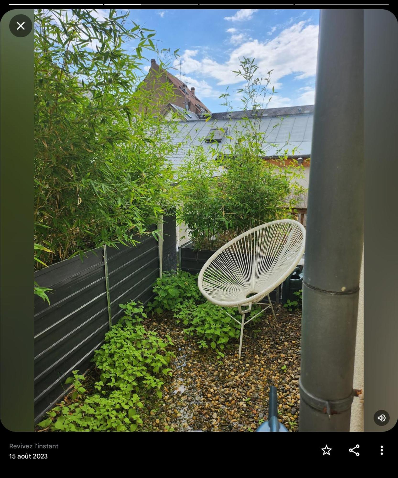 Appartement Attique 斯特拉斯堡 外观 照片